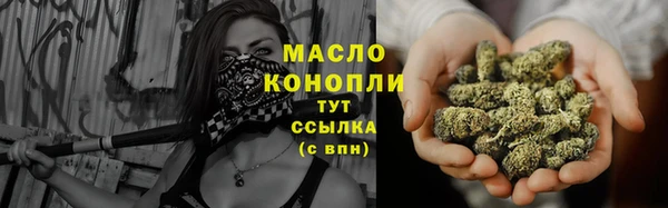 молекула духа Вяземский