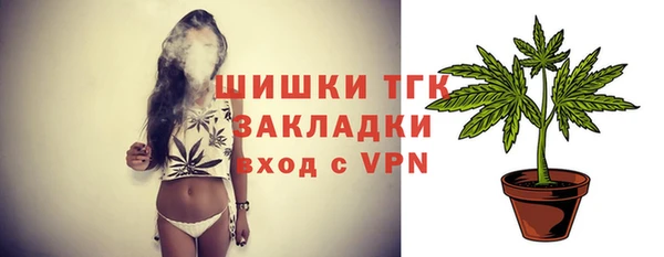 прущие крисы Новозыбков