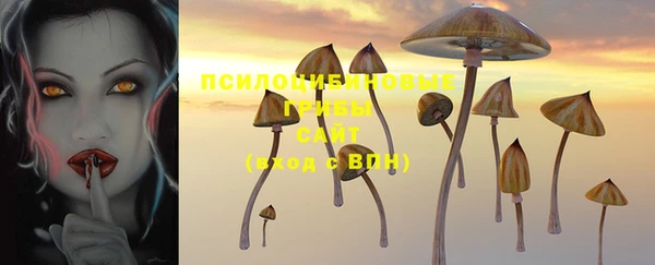 Альфа ПВП Нефтекумск