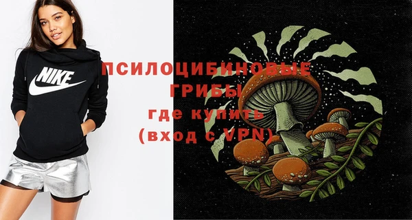СК Новодвинск