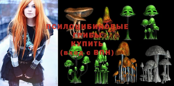 Альфа ПВП Нефтекумск