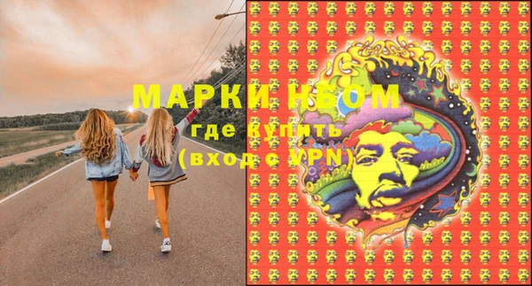 прущие крисы Новозыбков