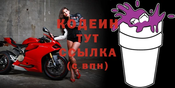 СК Новодвинск