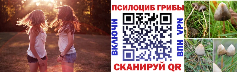 ОМГ ОМГ ТОР  Уфа  Галлюциногенные грибы мицелий 