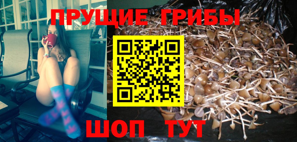 Псилоцибиновые грибы ЛСД  Уфа 